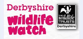 DerbyshireWildlifeWatch